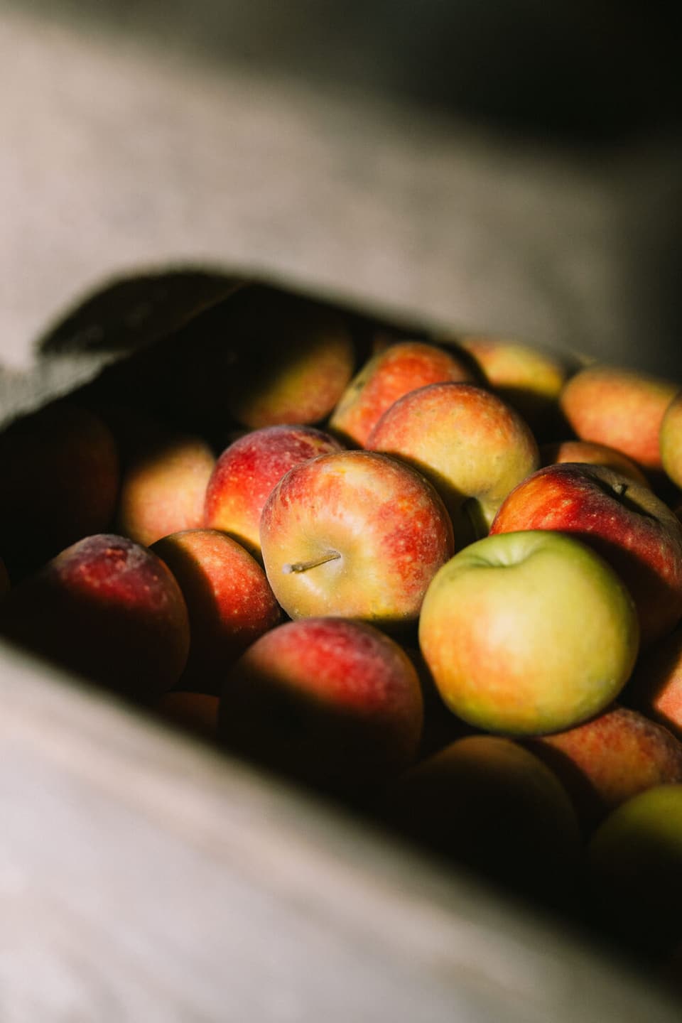 Red and yellow apples in a paper bag